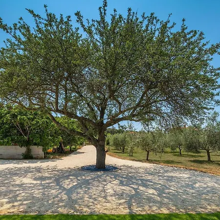 別荘 Marialba プーラ