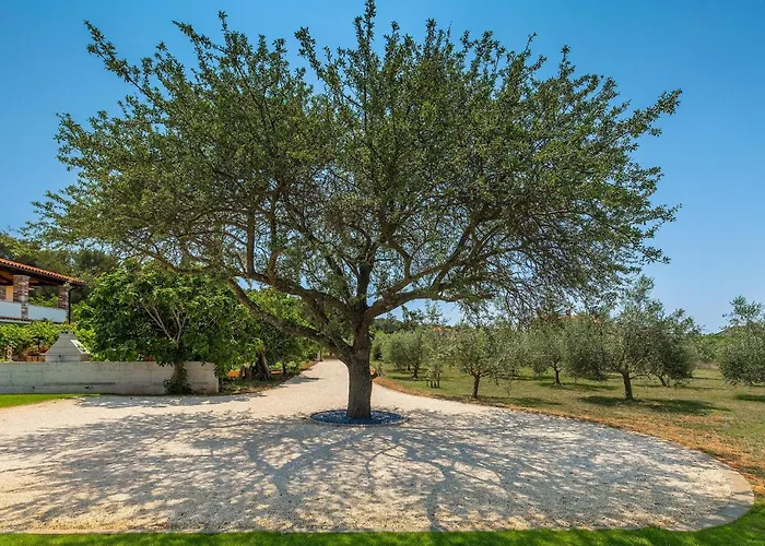 Vakantiehuis Marialba Pula